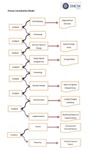 Intro of Process Consultation-4