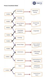 Intro of Process Consultation-4